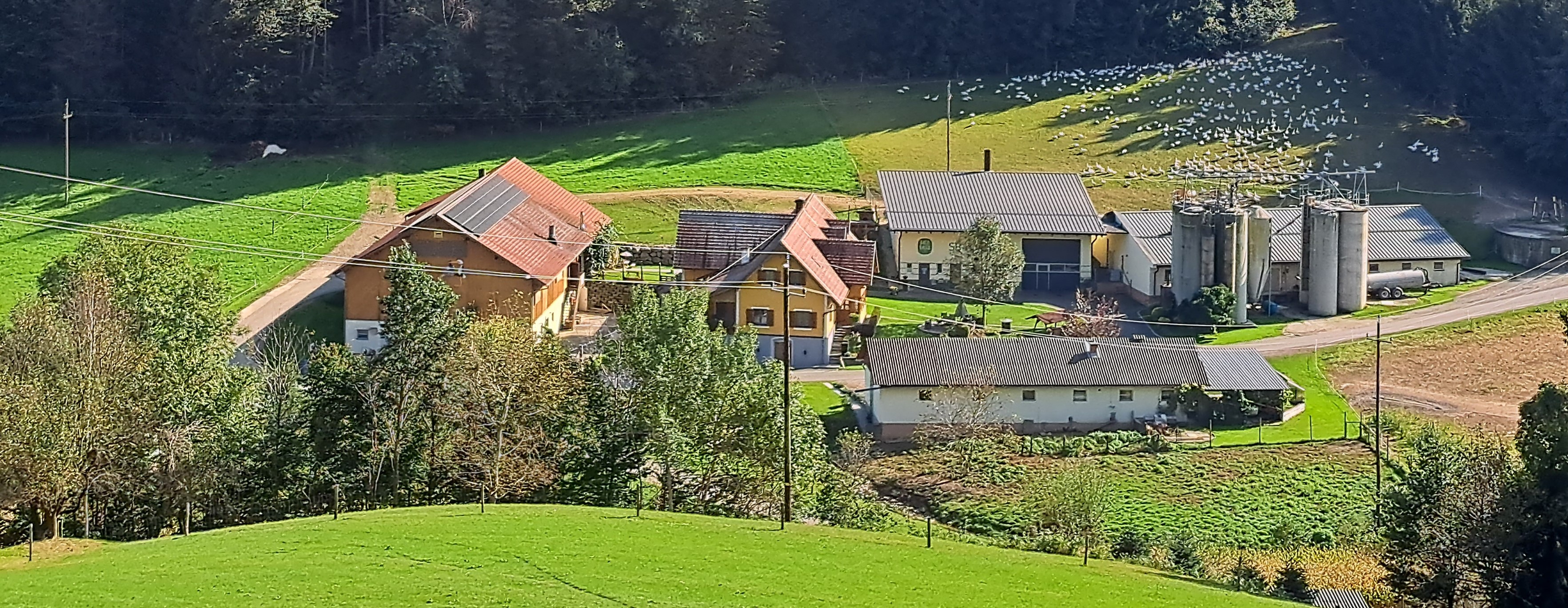 Bachbauerhof zugeschnitten